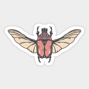 Beetle Boy Sticker